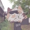 rojvolf