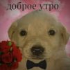ti_popa228